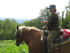 Views out to Blue Ridge